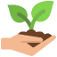 seed